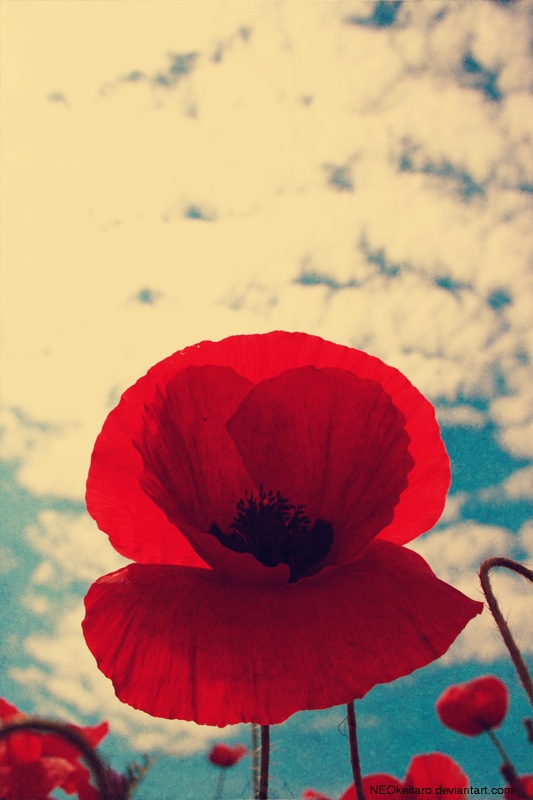 Иван Мальцев фотография #21