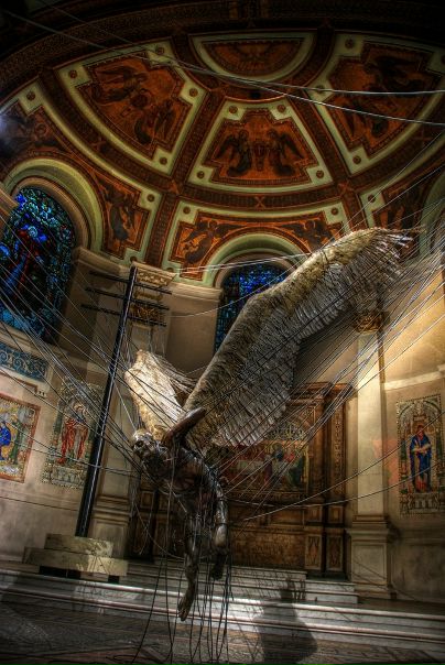 Moth Dom фото №11