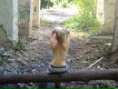 Фотография Казимировой Анастасии