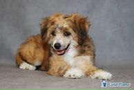 Фотография Долговой Екатерины