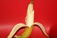 Фотография Наговской Эли