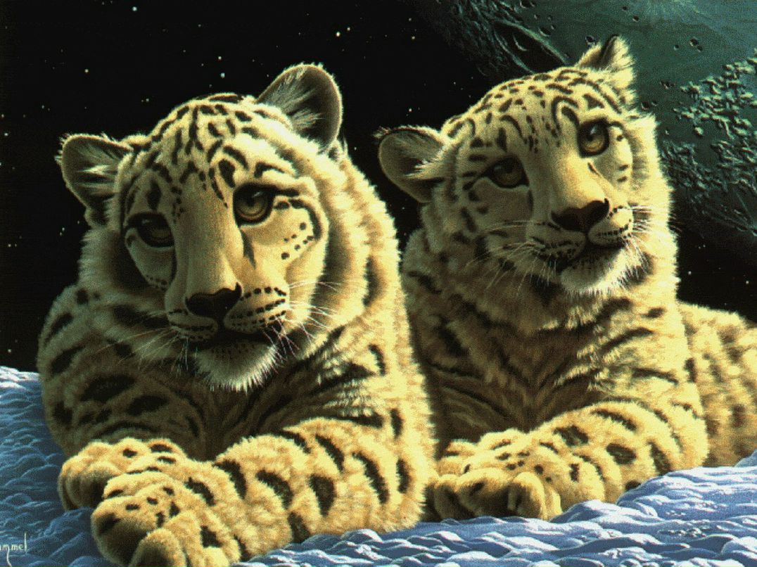 Игорь Крейтор фотография #2