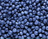 Фотография Коломицевой Июлии