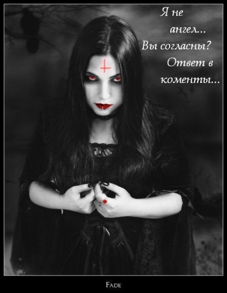 Даниэла Стил фото №1