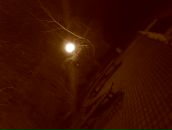 Іван Лузін фотография #25 (источник - https://vk.com/id10251325)