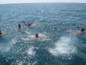 Фотография Журавлёвой Алины