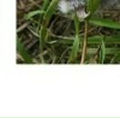 Людмила Сусідик фотография #47 (источник - https://vk.com/id5405046)