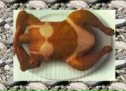 Сергій Бандура фотография #13 (источник - https://vk.com/id68943004)