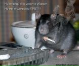 Фотография Ситникова Алексея