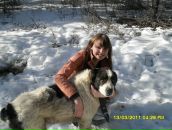 Фотография Овчинников Дмитрий