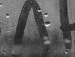 Ігорь Примаченко фотография #11 (источник - https://vk.com/id53078733)