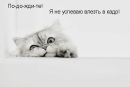 Сергій Богусевич фотография #33 (источник - https://vk.com/id63311509)