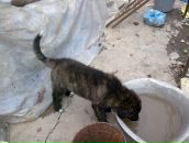 Андрій Возняк фотография #41 (источник - https://vk.com/id43204840)