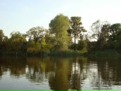 Антон Кропачев фотография #19 (источник - https://vk.com/id2206468)