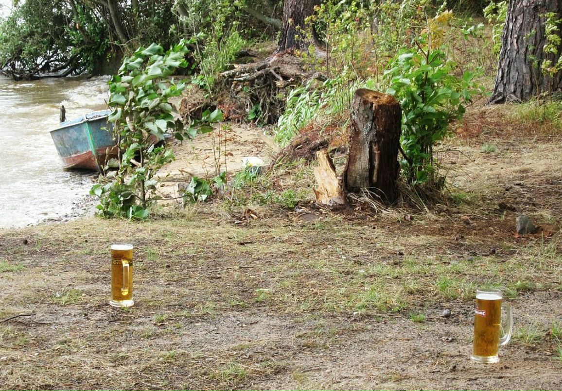 Николай Саныч фотография #40