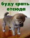 Іван Москаль фотография #12 (источник - https://vk.com/id132860259)