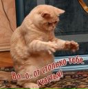 Міша Горліцький фотография #13 (источник - https://vk.com/id90284901)