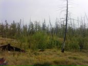 Иван Черников фотография #28 (источник - https://vk.com/id3073813)