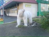 Иван Черников фотография #26 (источник - https://vk.com/id3073813)