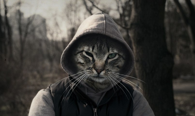 Сергей Викторов фотография #9