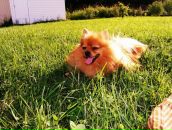 Анна Горелова фотография #2 (источник - https://vk.com/id978197)