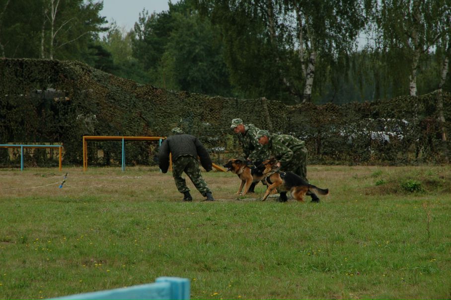 Дмитрий Ходарев фото №50