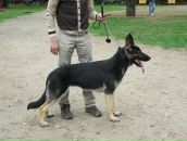 Фотография Новикова Виктора