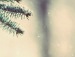 Ігор Манилюк фотография #4 (источник - https://vk.com/id88181039)