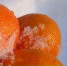 Вікторія Полудняк фотография #37 (источник - https://vk.com/id38373333)