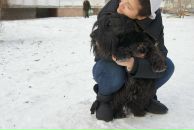 Фотография Шарковой Анастасии