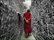 Олексій Овдій фотография #21 (источник - https://vk.com/id13523131)