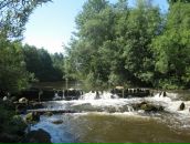 Фотография Лазарева Екатерина