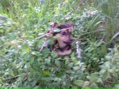 Толік Шуба фотография #31 (источник - https://vk.com/id28618845)