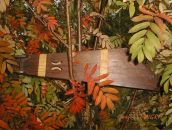 Фотография Стангрита Сергея