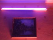 Фотография Терехова Дмитрия