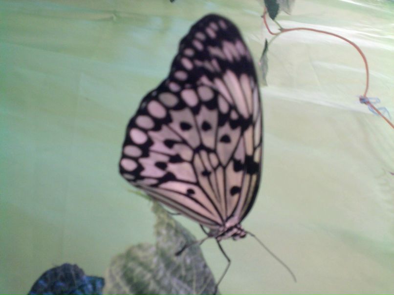 Катя Клименко фотография #11