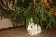 Фотография Божьевой Юлии