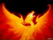 Антон Панічевський фотография #33 (источник - https://vk.com/id142718004)