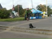 Дмитрий Пуш фотография #2 (источник - https://vk.com/id916721)