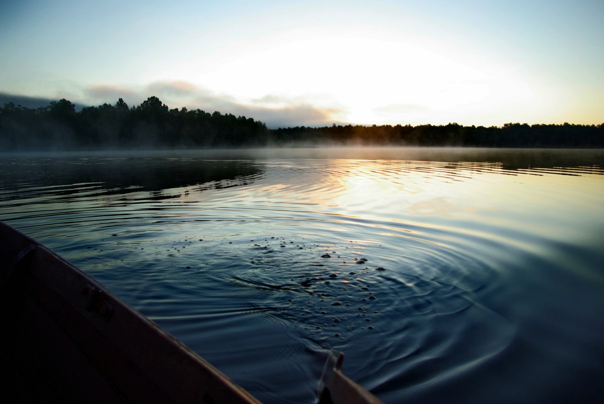 Андрей Разбаш фотография #19