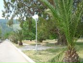 Андрей Мухин фотография #29 (источник - https://vk.com/id594331)