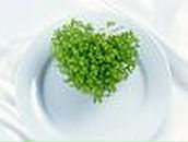 Діана Гуцул фотография #12 (источник - https://vk.com/id85573535)