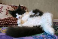 Фотография Самохина Артёма