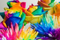 Kostya Miscenko фотография #33 (источник - https://vk.com/id4771635)