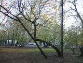 Фотография Янчицкой Кристины