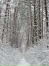Виктор Долина фотография #50 (источник - https://vk.com/id6540682)