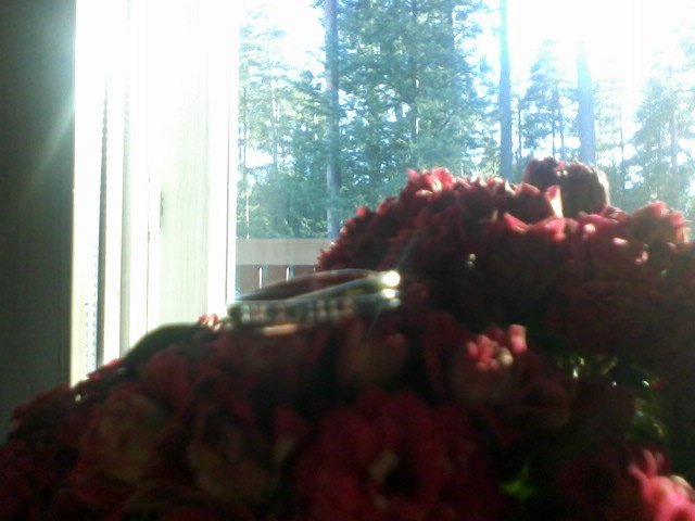 Ирена Бешнич фотография #24