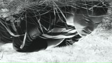 Фотография Maxov Max