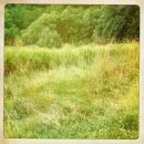 Анна Алтабаева фотография #48 (источник - https://vk.com/id3440357)