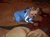 Надя Іщак фотография #31 (источник - https://vk.com/id76429397)